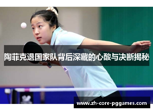 陶菲克退国家队背后深藏的心酸与决断揭秘