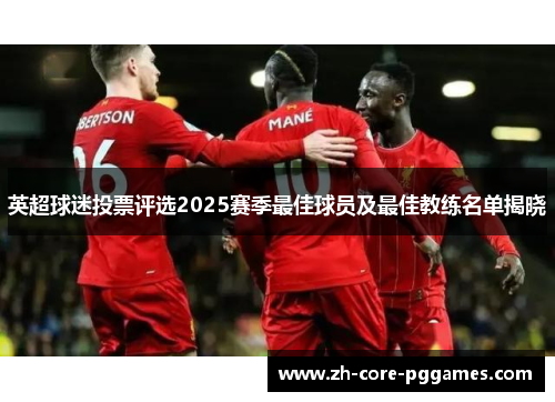 英超球迷投票评选2025赛季最佳球员及最佳教练名单揭晓